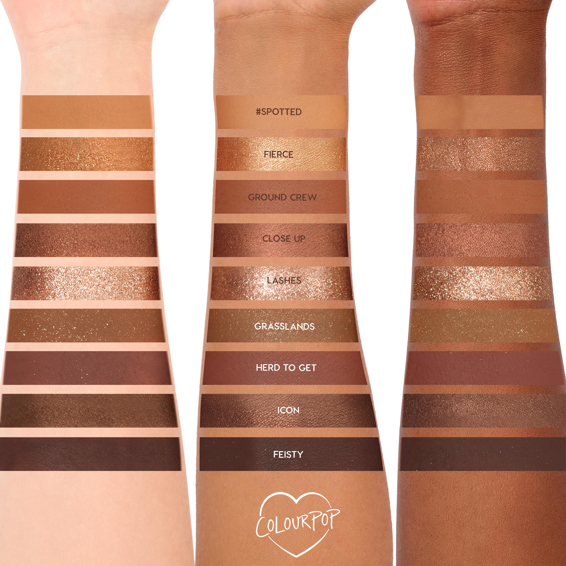 Wild Child shadow palette by Colourpop swatched on three arms in light to deep skin tones, showing matte and metallic bronze, copper, and brown shades labeled #Spotted, Fierce, Ground Crew, Close Up, Lashes, Grasslands, Herd to Get, Icon, and Feisty.